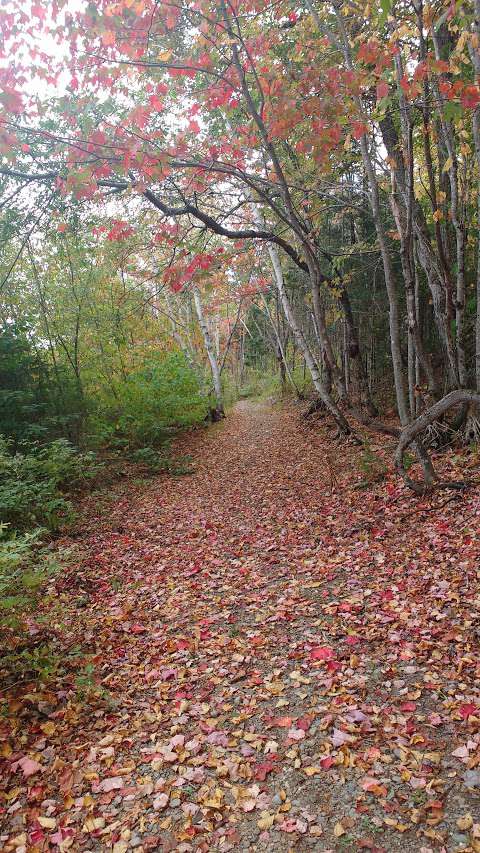 Harvey Lakeside Nature Trail